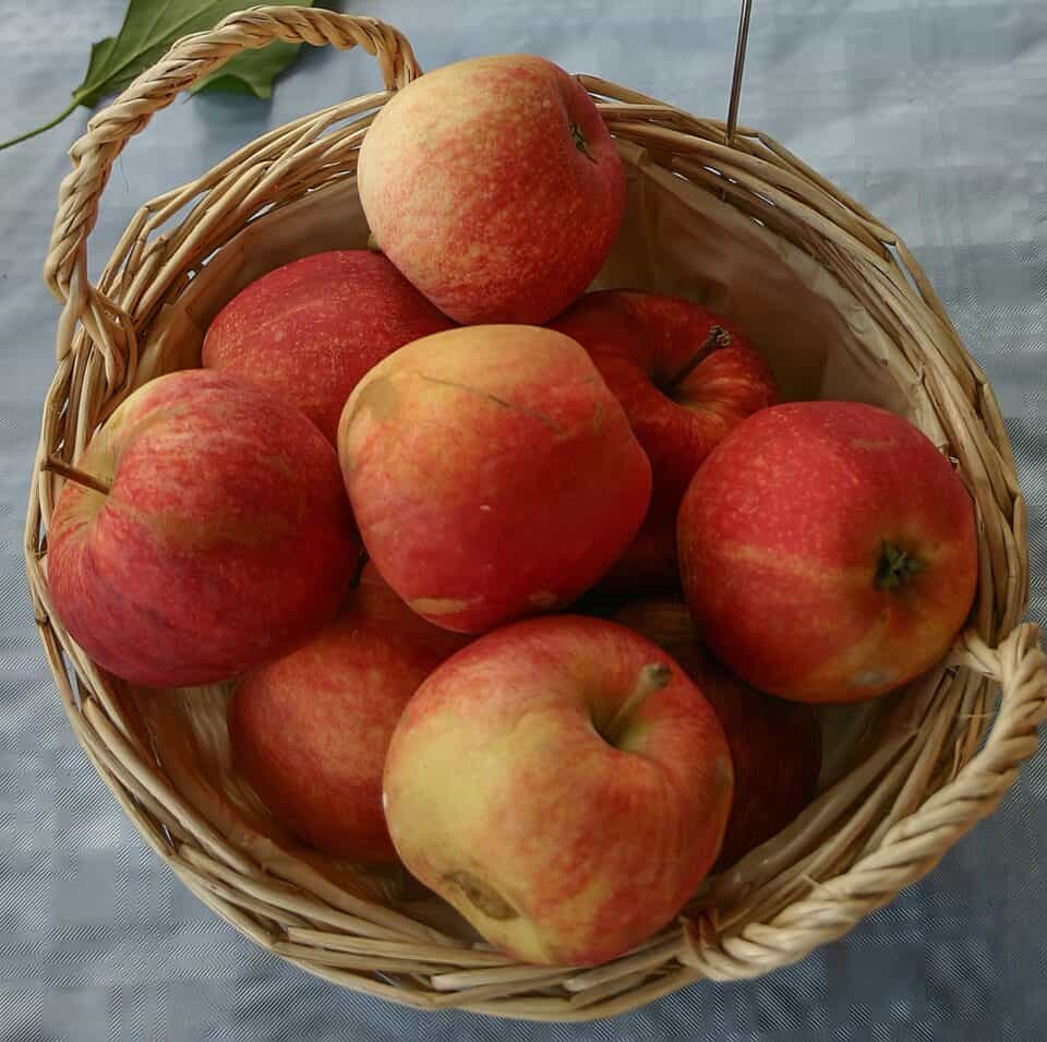 gala apples 1