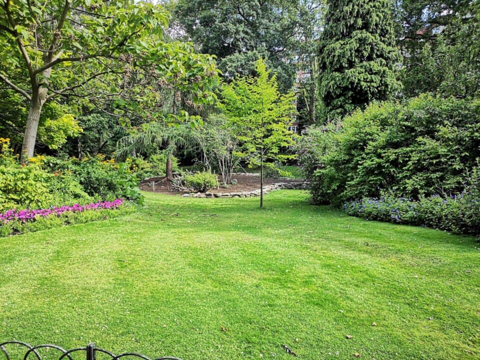 beautiful garden lawn