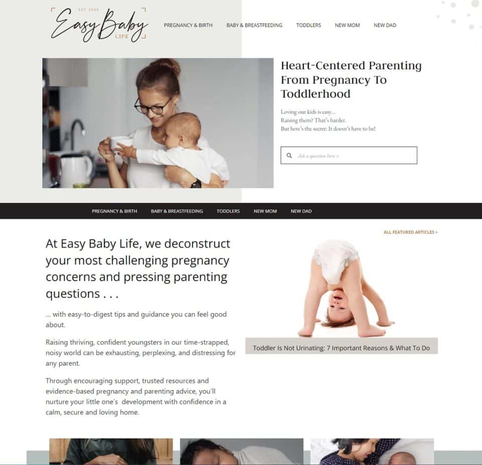 easy baby life blog