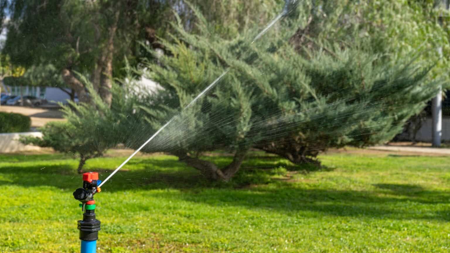 watering-techniques-for-a-thriving-lawn-tidbits-of-experience