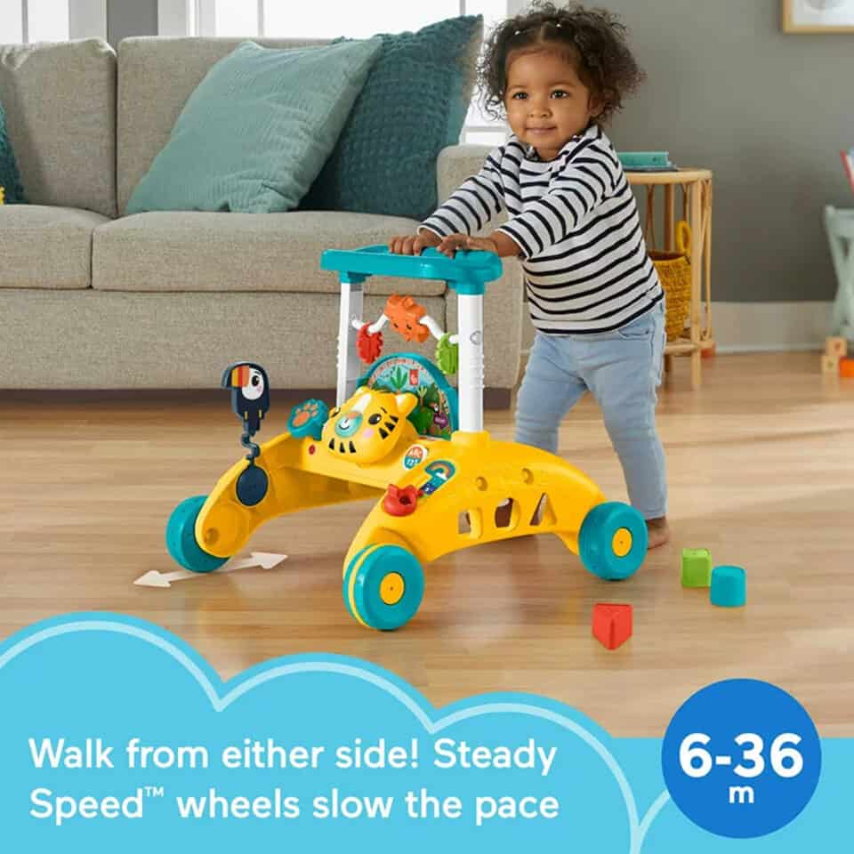 Fisher Price 2 Sided Steady Speed Walker