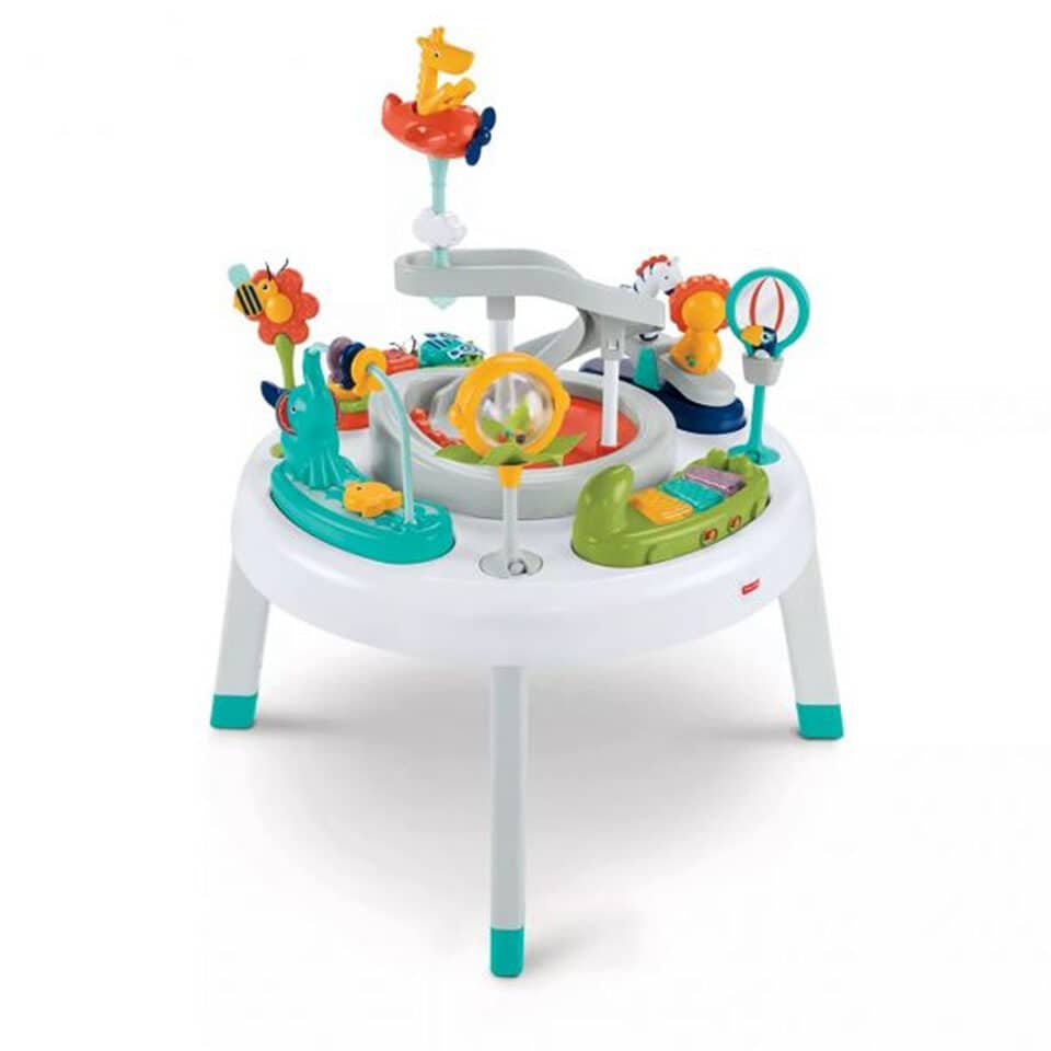 Fisher Price 2 in 1 Sit to Stand Activity Center