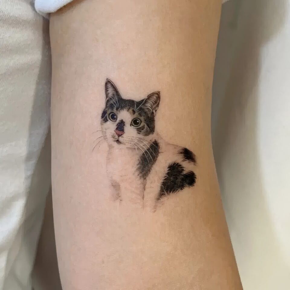 Feminine Cat Tattoos 20