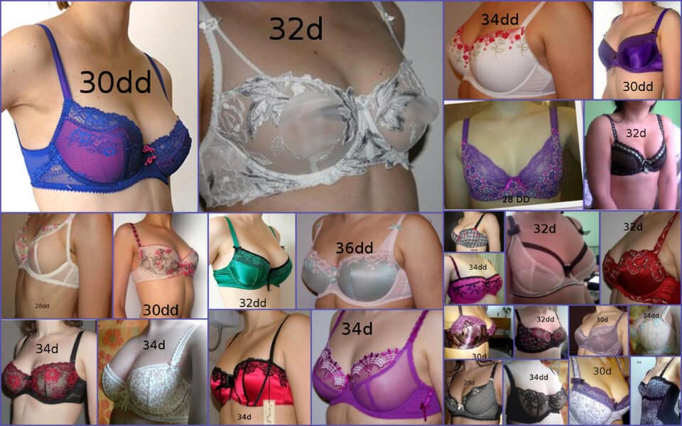 What Do D Cup Breasts Look Like Chart